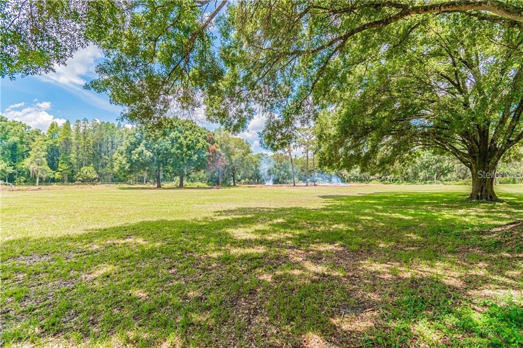 1453 Creek Road Wesley Chapel, FL 33543 - Photo 7 of 26 a view of outdoor space with green field and trees