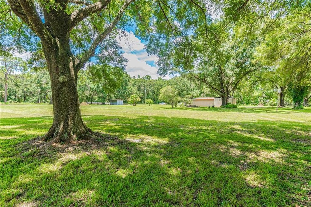 1453 Creek Road Wesley Chapel, FL 33543 - Photo 8 of 26 a view of a field with a tree