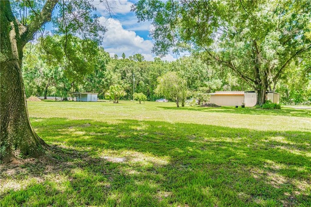 1453 Creek Road Wesley Chapel, FL 33543 - Photo 9 of 26 a view of a big yard with large trees