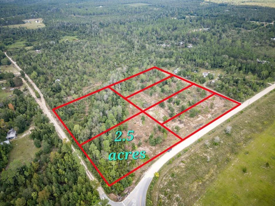 1438 Lake Lillian Road Fountain, FL 32438 - Photo 6 of 9 Aerial photo 2