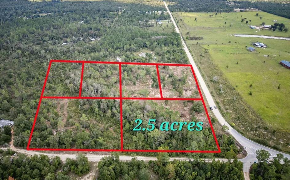 1438 Lake Lillian Road Fountain, FL 32438 - Photo 7 of 9 Aerial photo 3