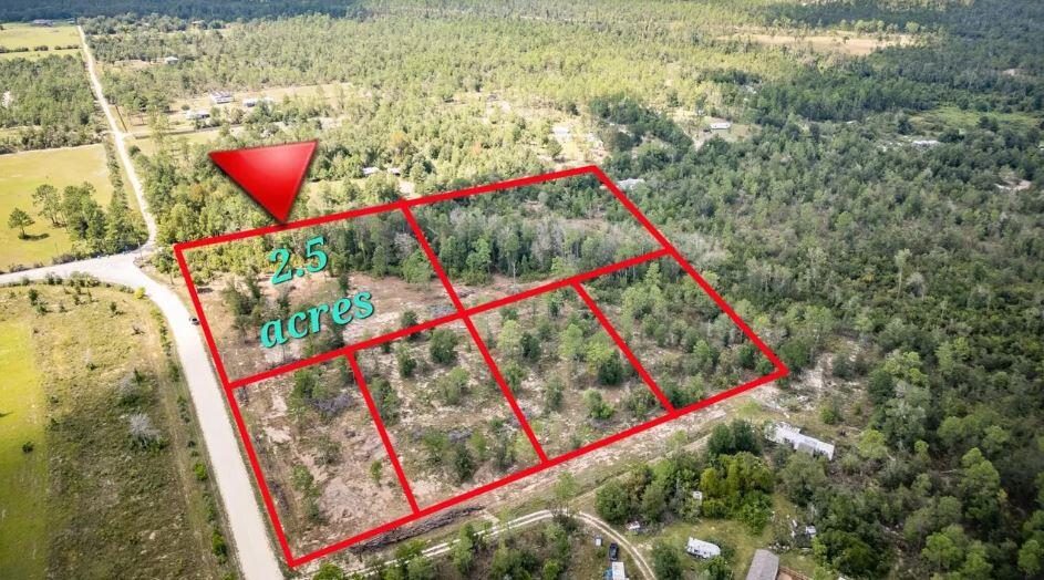 1438 Lake Lillian Road Fountain, FL 32438 - Photo 8 of 9 Aerial photo 4