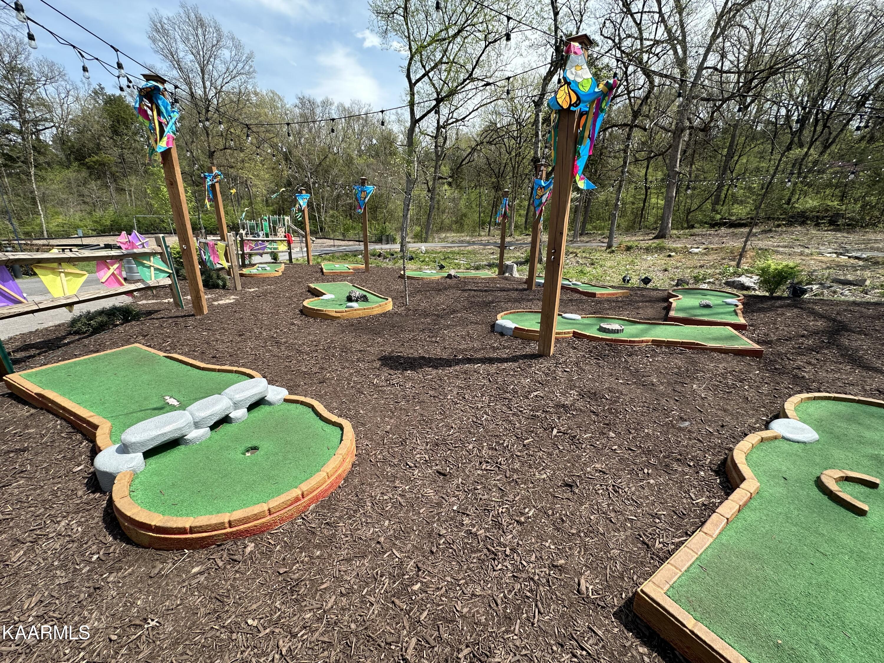 225 Collier Drive, Unit 2407 Sevierville, TN 37862 - Photo 30 of 41 452F02F3-8B6A-4EAE-BEBA-8AD6FB6F146D