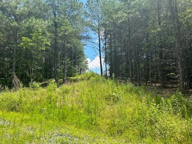 5 Owl Hollow Road Southwest McDonald, TN 37353 - Photo 14 of 32
