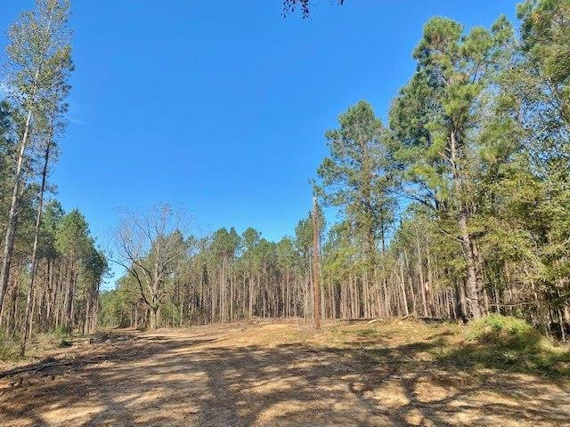 0 Welch Road Liberty, MS 39645 - Photo 1 of 4 Main View