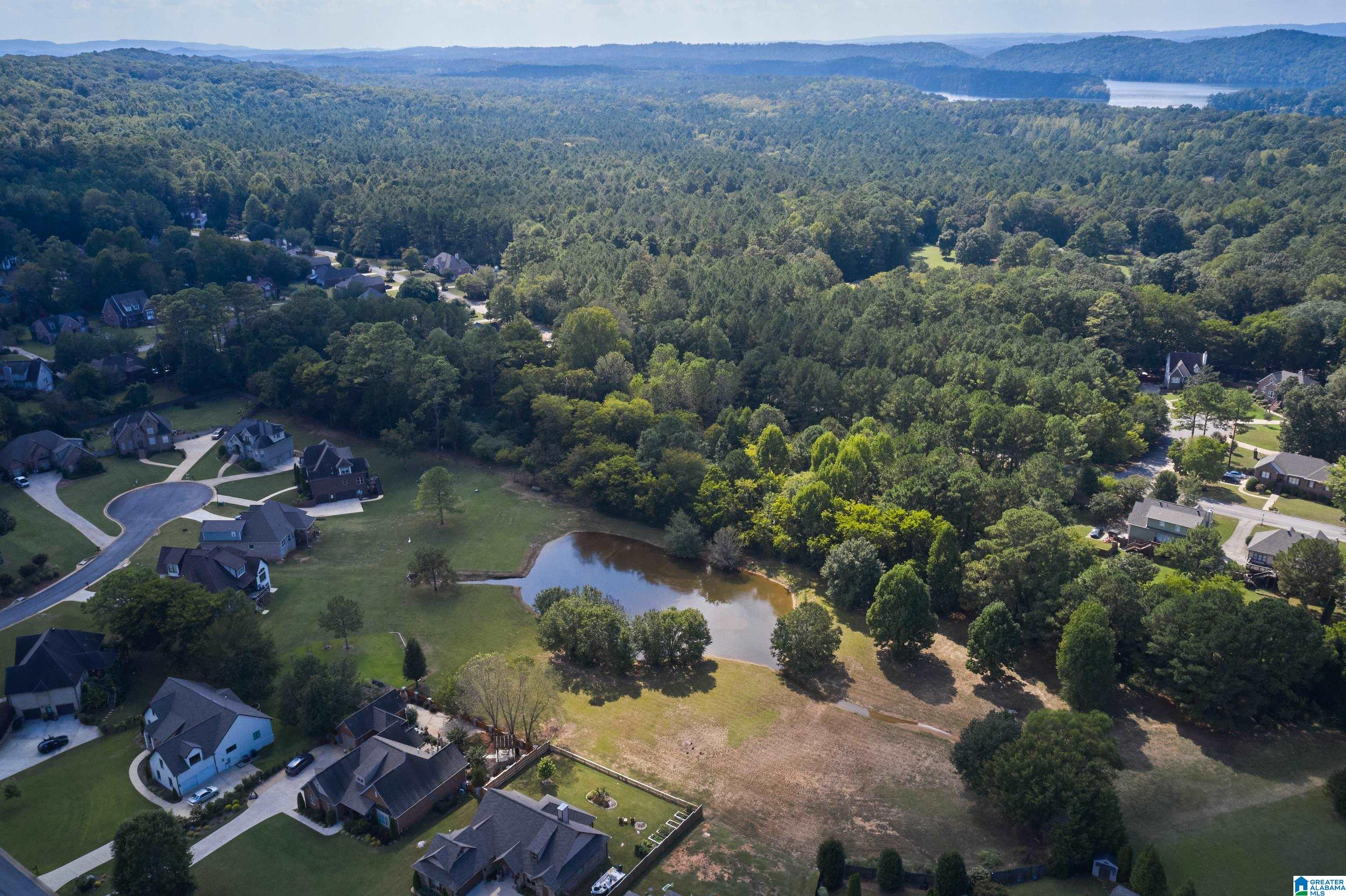 1053 Old Mill Run Leeds, AL 35094 - Photo 38 of 40