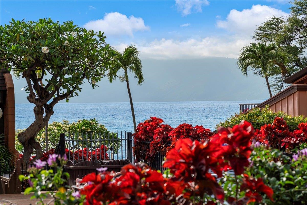 3959 Lower Honoapiilani Road, Unit 302 Lahaina, HI 96761 - Photo 1 of 33 Gallery Image 1