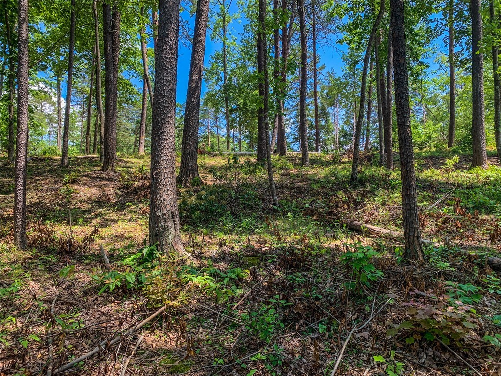 418 Peninsula Ridge Sunset, SC 29685 - Photo 5 of 10 Gallery Image 5
