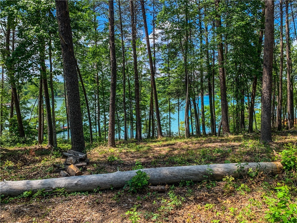 418 Peninsula Ridge Sunset, SC 29685 - Photo 6 of 10 Gallery Image 6