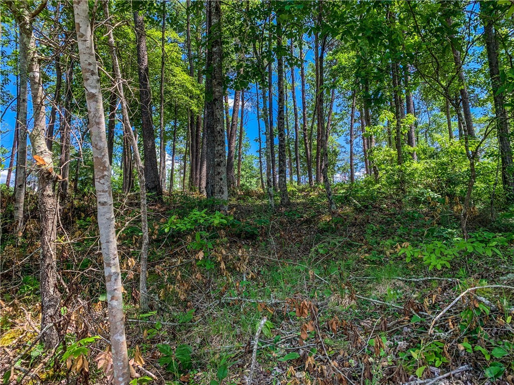 418 Peninsula Ridge Sunset, SC 29685 - Photo 7 of 10 Gallery Image 7