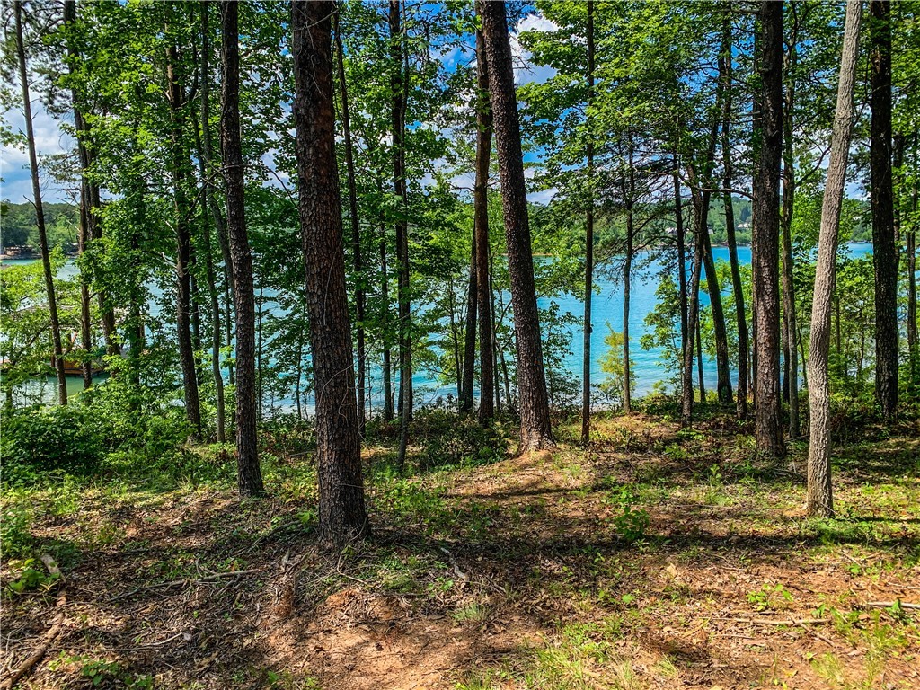 418 Peninsula Ridge Sunset, SC 29685 - Photo 8 of 10 Gallery Image 8
