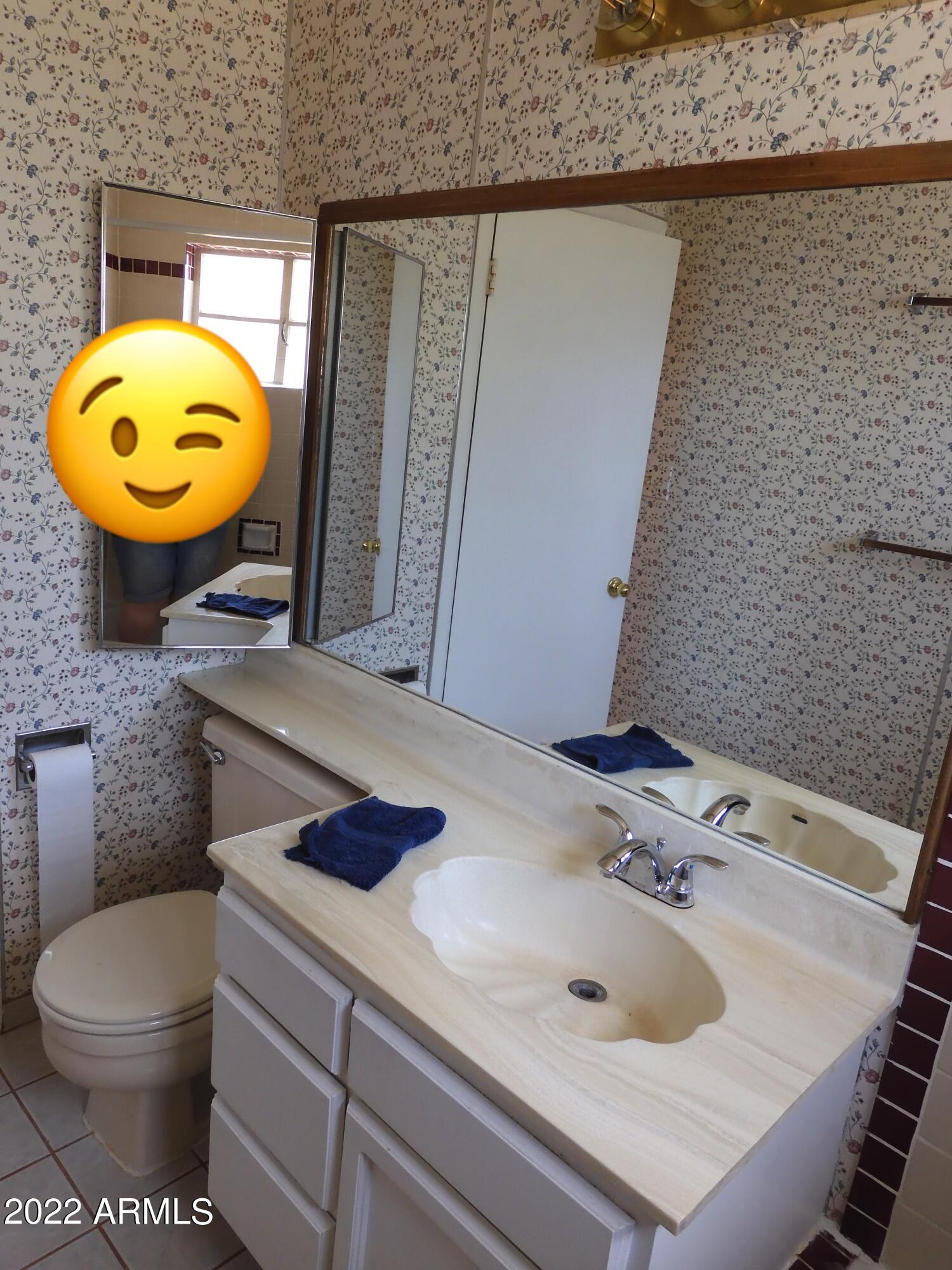 2825 North 33rd Street Phoenix, AZ 85008 - Photo 19 of 42 Bathroom
