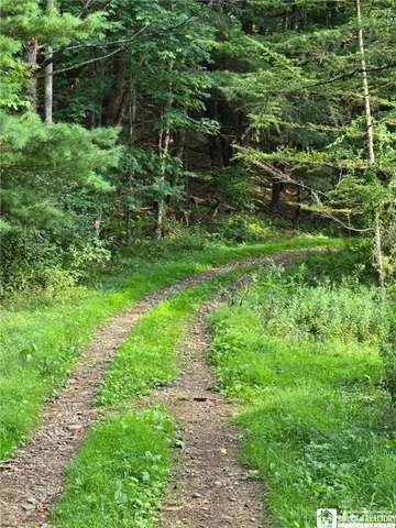 $195,000 | 8505 Highway 417, Genesee, NY 14754