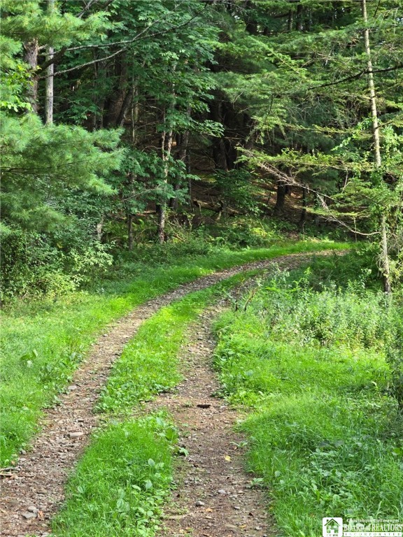 8505 Highway 417 Genesee, NY 14754 - Photo 19 of 48