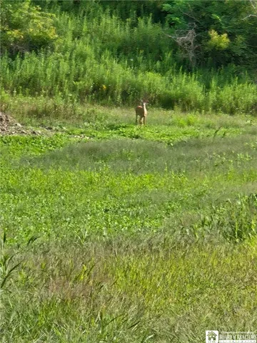 $195,000 | 8505 Highway 417, Genesee, NY 14754