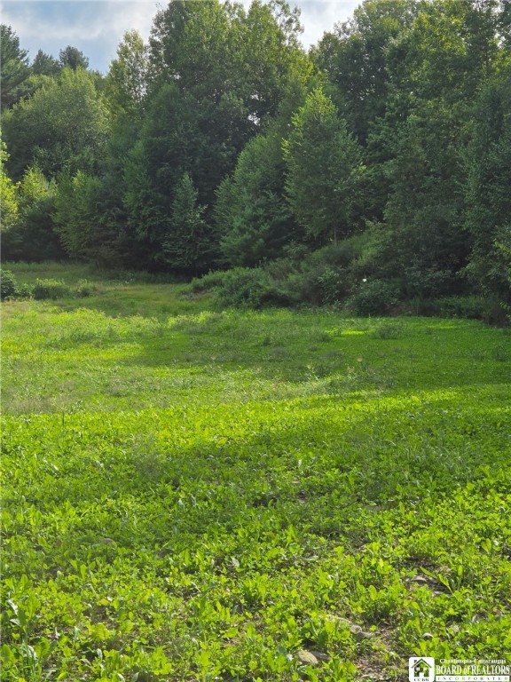 8505 Highway 417 Genesee, NY 14754 - Photo 21 of 48