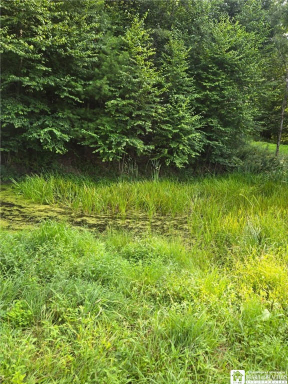 8505 Highway 417 Genesee, NY 14754 - Photo 23 of 48