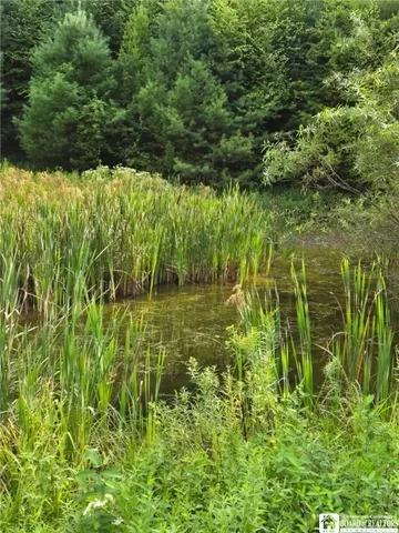 $195,000 | 8505 Highway 417, Genesee, NY 14754