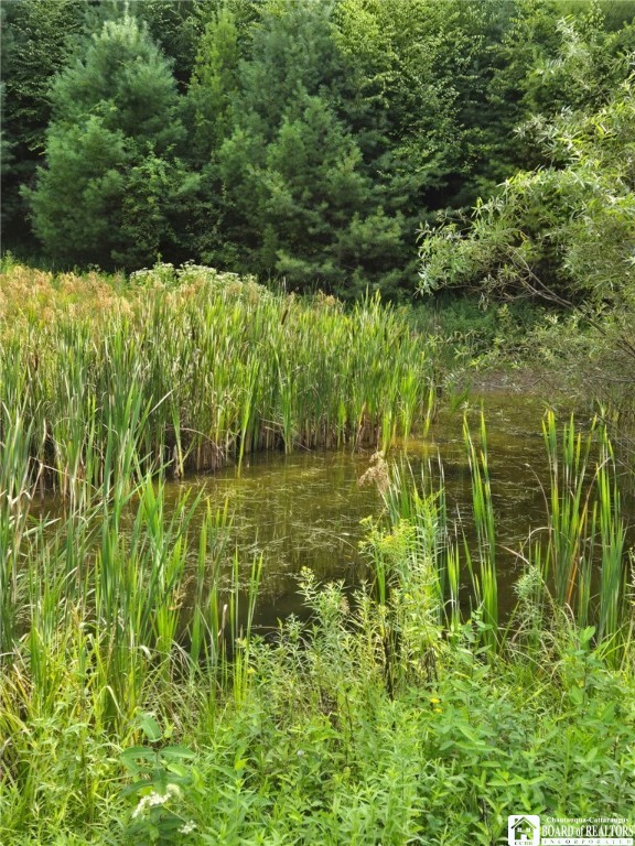 8505 Highway 417 Genesee, NY 14754 - Photo 24 of 48