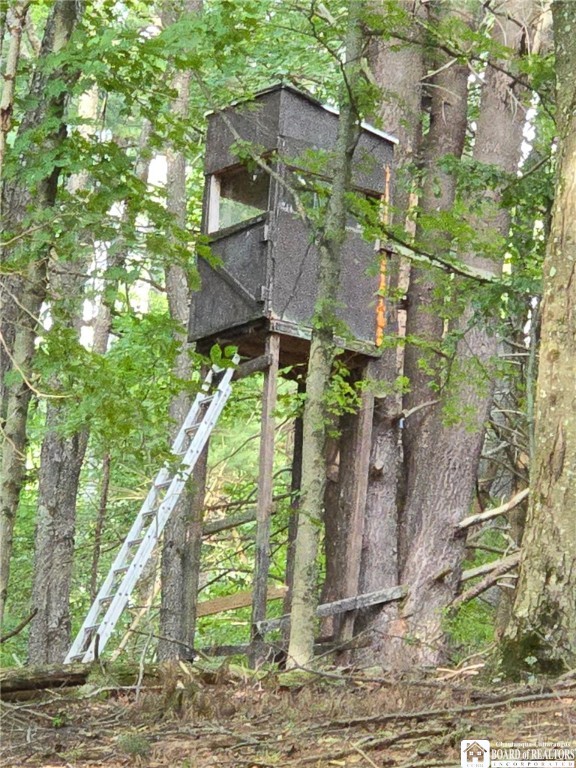 8505 Highway 417 Genesee, NY 14754 - Photo 25 of 48