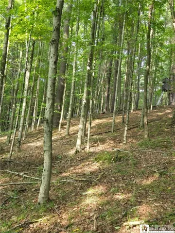 $195,000 | 8505 Highway 417, Genesee, NY 14754