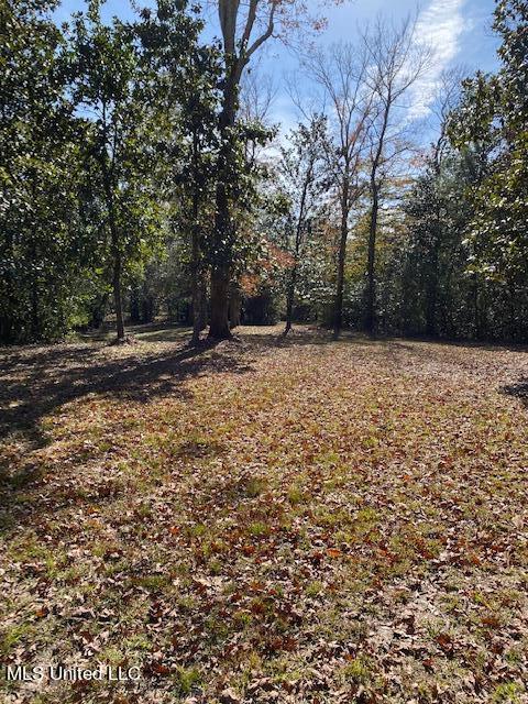 13633 Wolf River Road Gulfport, MS 39503 - Photo 33 of 41 Wolf River 507pm 2