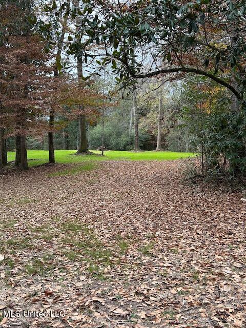 13633 Wolf River Road Gulfport, MS 39503 - Photo 34 of 41 Wolf River 507pm 1