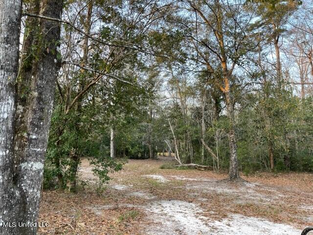 13633 Wolf River Road Gulfport, MS 39503 - Photo 35 of 41 13633 33