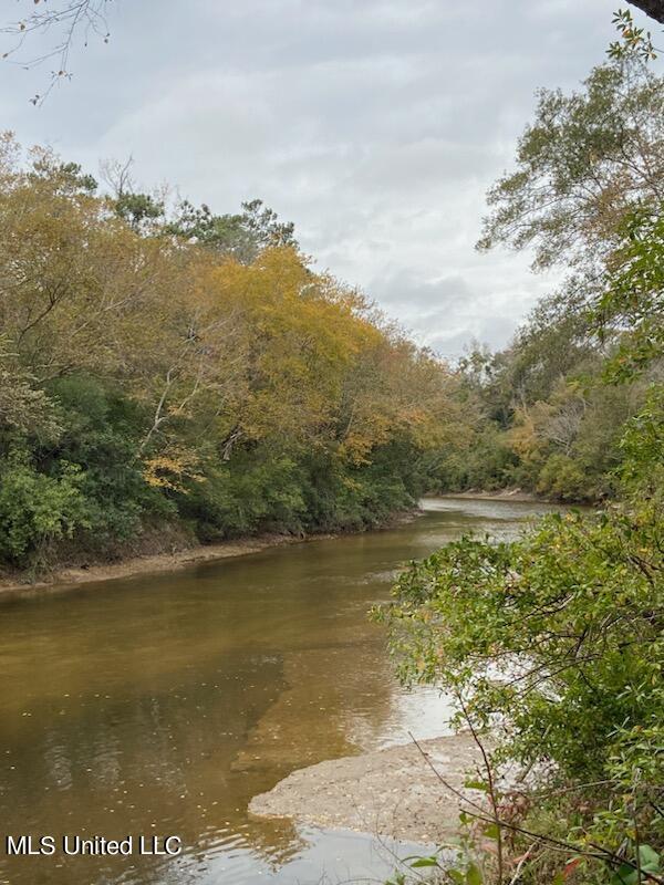 13633 Wolf River Road Gulfport, MS 39503 - Photo 37 of 41 IMG_9672