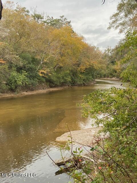 13633 Wolf River Road Gulfport, MS 39503 - Photo 38 of 41 IMG_9671