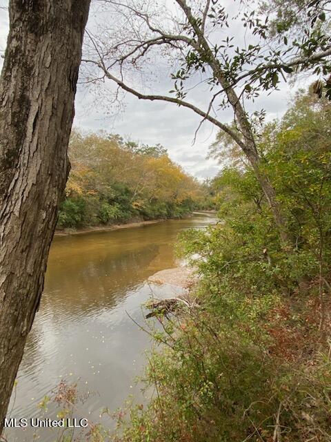 13633 Wolf River Road Gulfport, MS 39503 - Photo 39 of 41 IMG_9670