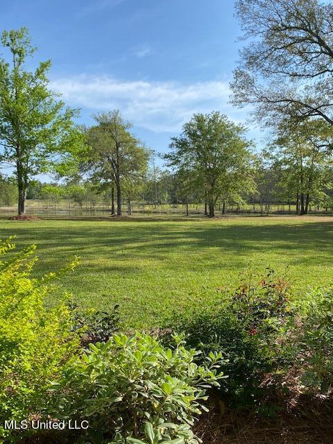 13633 Wolf River Road Gulfport, MS 39503 - Photo 5 of 41 IMG_5336