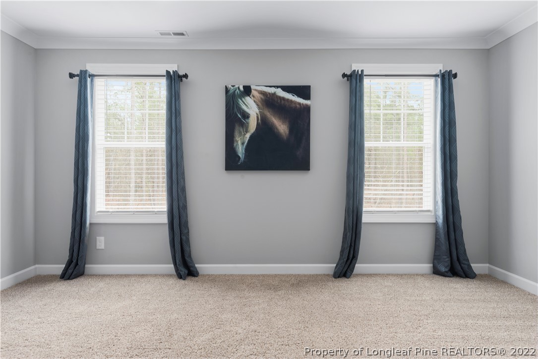 15581 Raccoon Run Road Wagram, NC 28396 - Photo 21 of 30 an empty room with windows