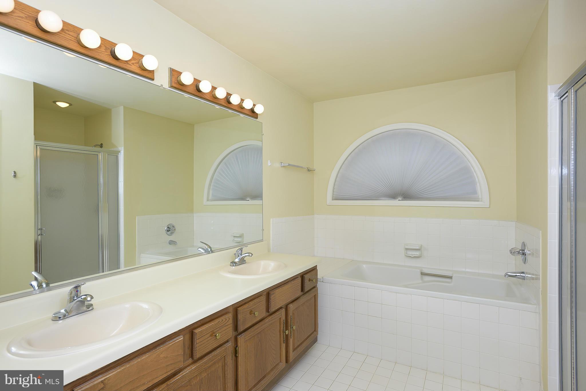 14243 Greenview Drive Laurel, MD 20708 - Photo 13 of 26 a bathroom with a sink a large mirror and a bathtub