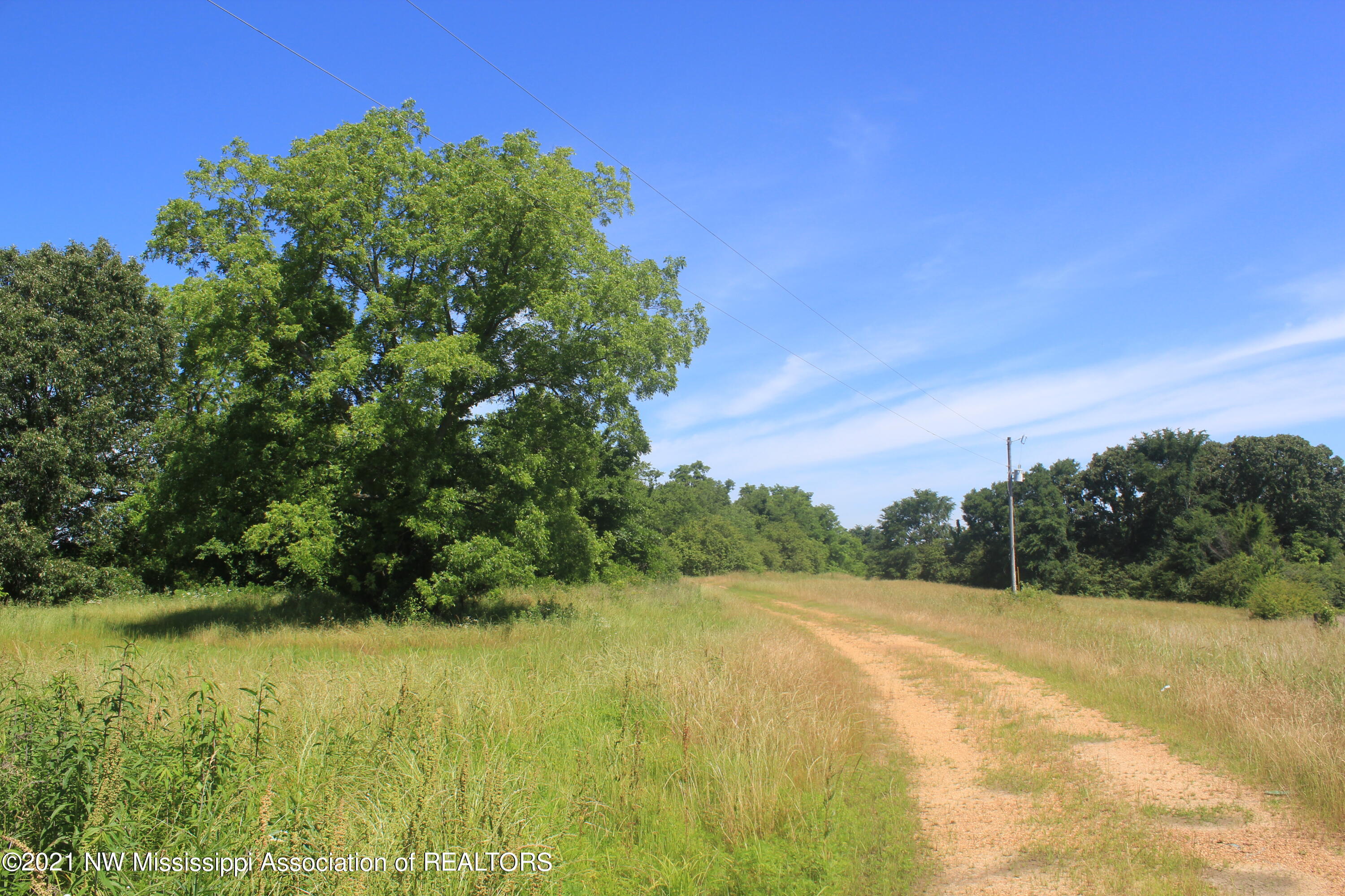 50 Watson Road Byhalia, MS 38611 - Photo 18 of 70 IMG_6703