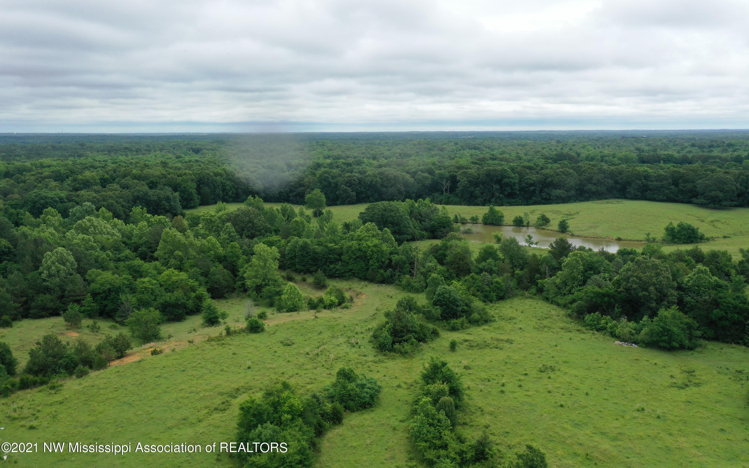 50 Watson Road Byhalia, MS 38611 - Photo 2 of 70 DJI_0358