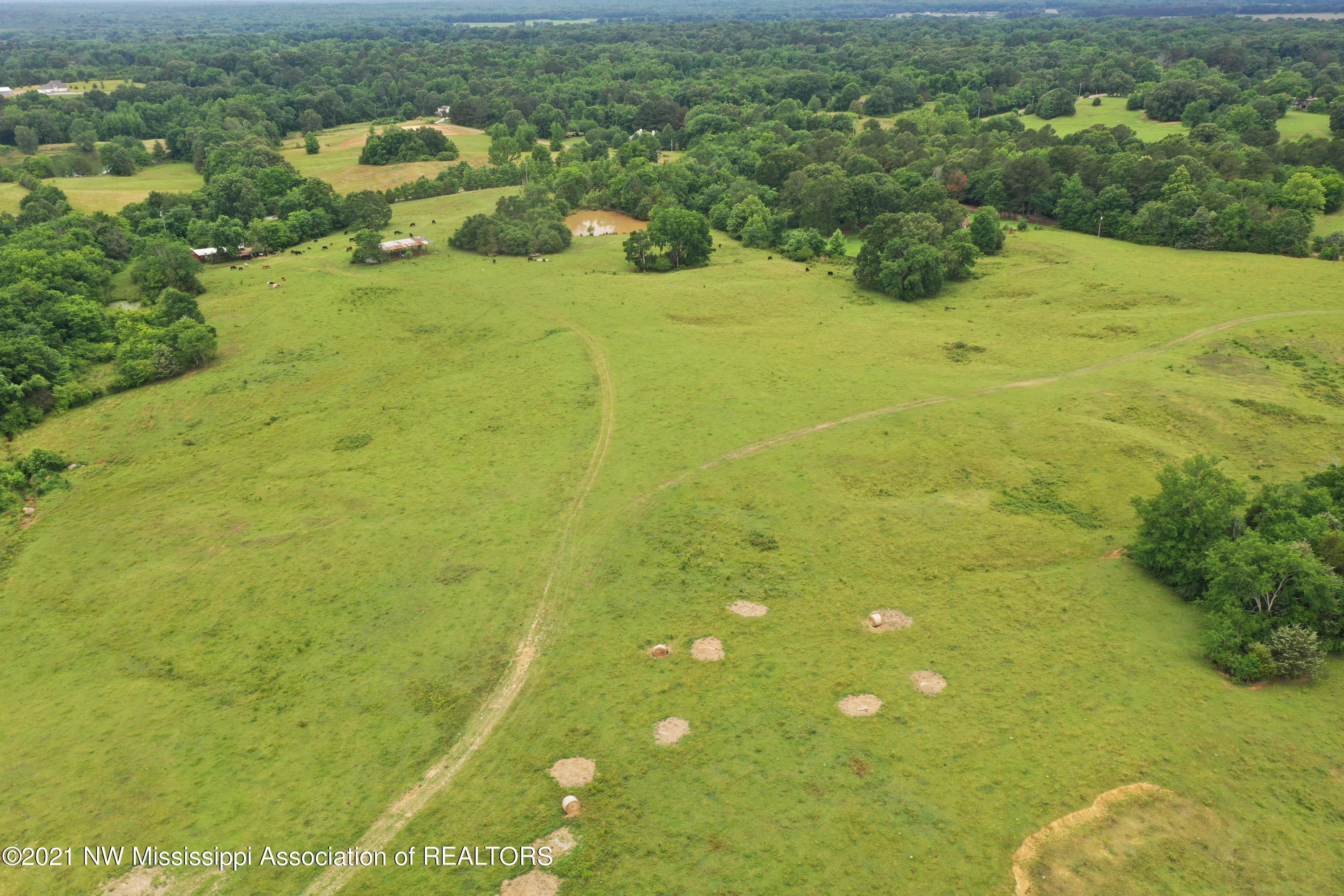 50 Watson Road Byhalia, MS 38611 - Photo 6 of 70 DJI_0362