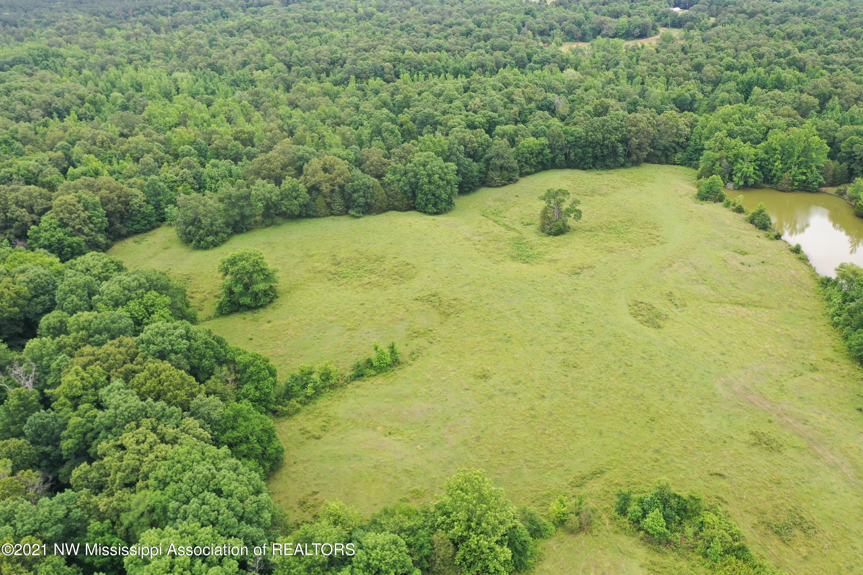 50 Watson Road Byhalia, MS 38611 - Photo 8 of 70 DJI_0364