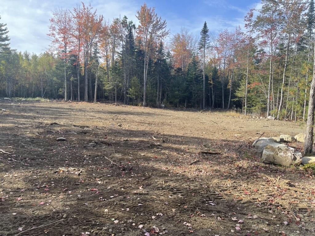 Lot 10-06 Rita's Way Wells, ME 04090 - Photo 4 of 8 Lot 10-06 Rita's Way