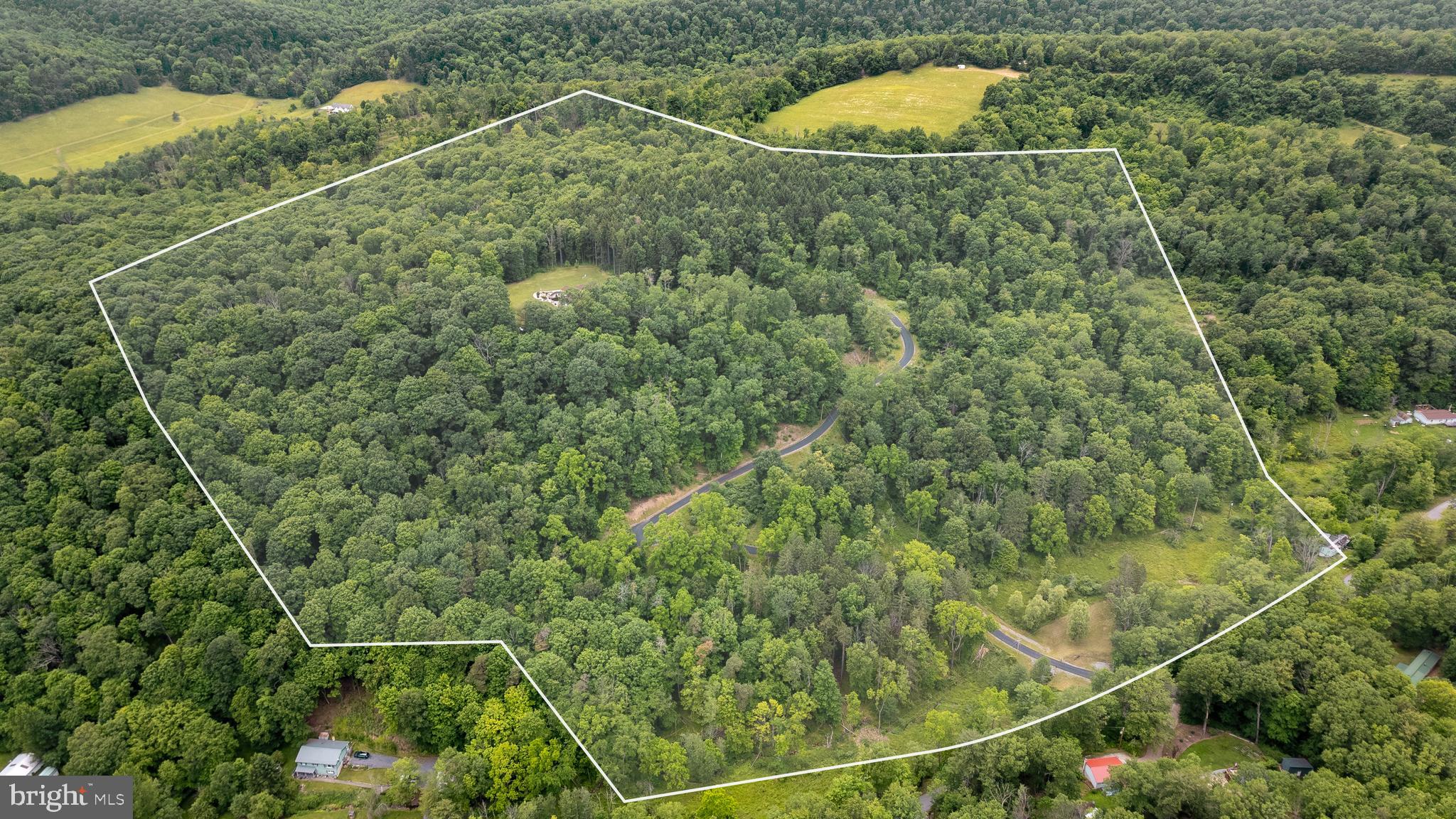 1296 Sunnyside Hollow Road Port Matilda, PA 16870 - Photo 2 of 49 a picture of a yard