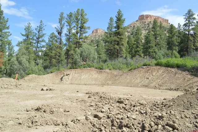a view of a dirt road with trees in the background