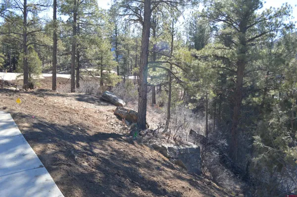 $315,000 | 702 Tipple Avenue, Durango, CO 81301