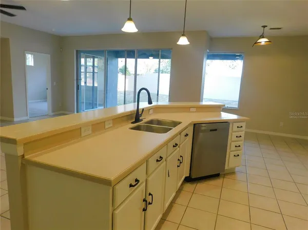 a kitchen with a sink a counter top space and cabinets