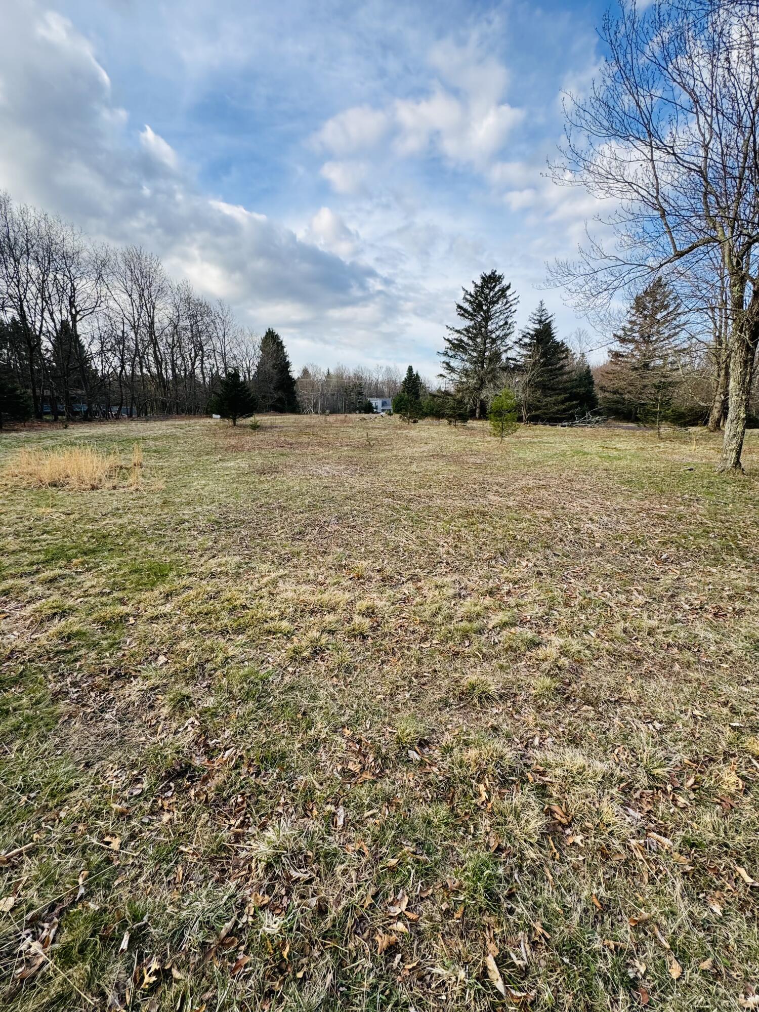 Pond Road Long Pond, PA 18334 - Photo 3 of 11