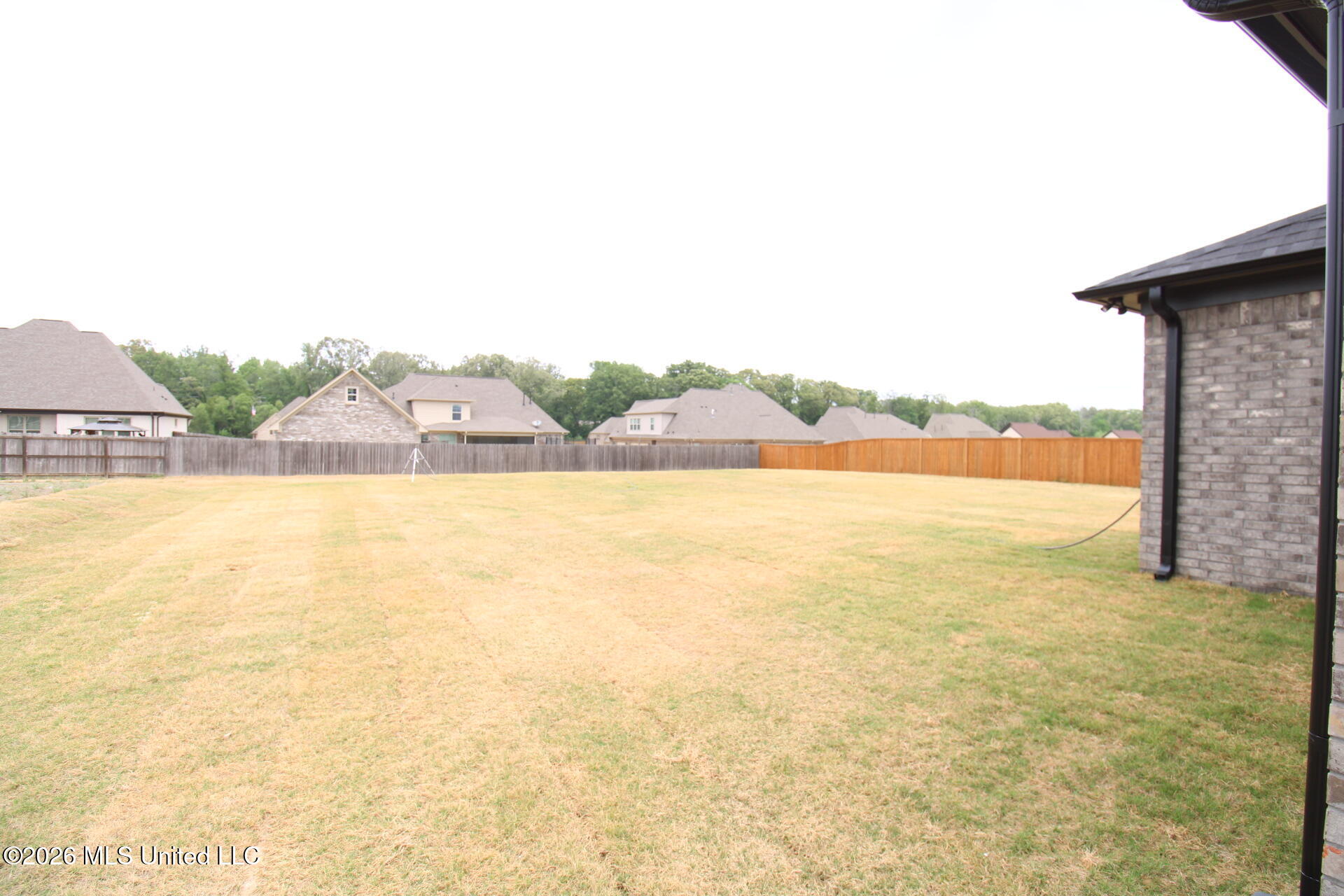 4232 Brooke Drive Nesbit, MS 38651 - Photo 5 of 8 IMG_0303