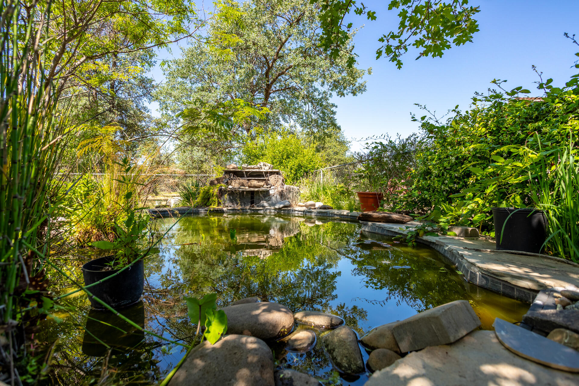 6329 Oak Street Anderson, CA 96007 - Photo 31 of 39 Pond
