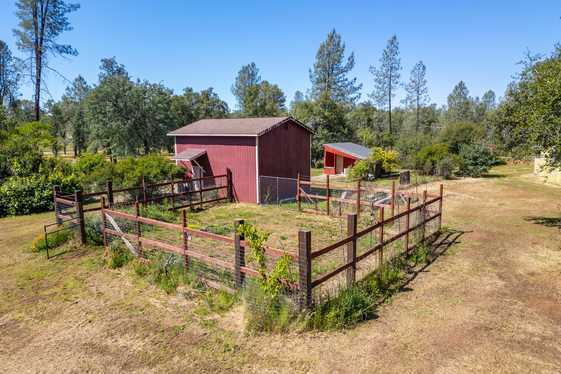 6329 Oak Street Anderson, CA 96007 - Photo 35 of 39 Garden