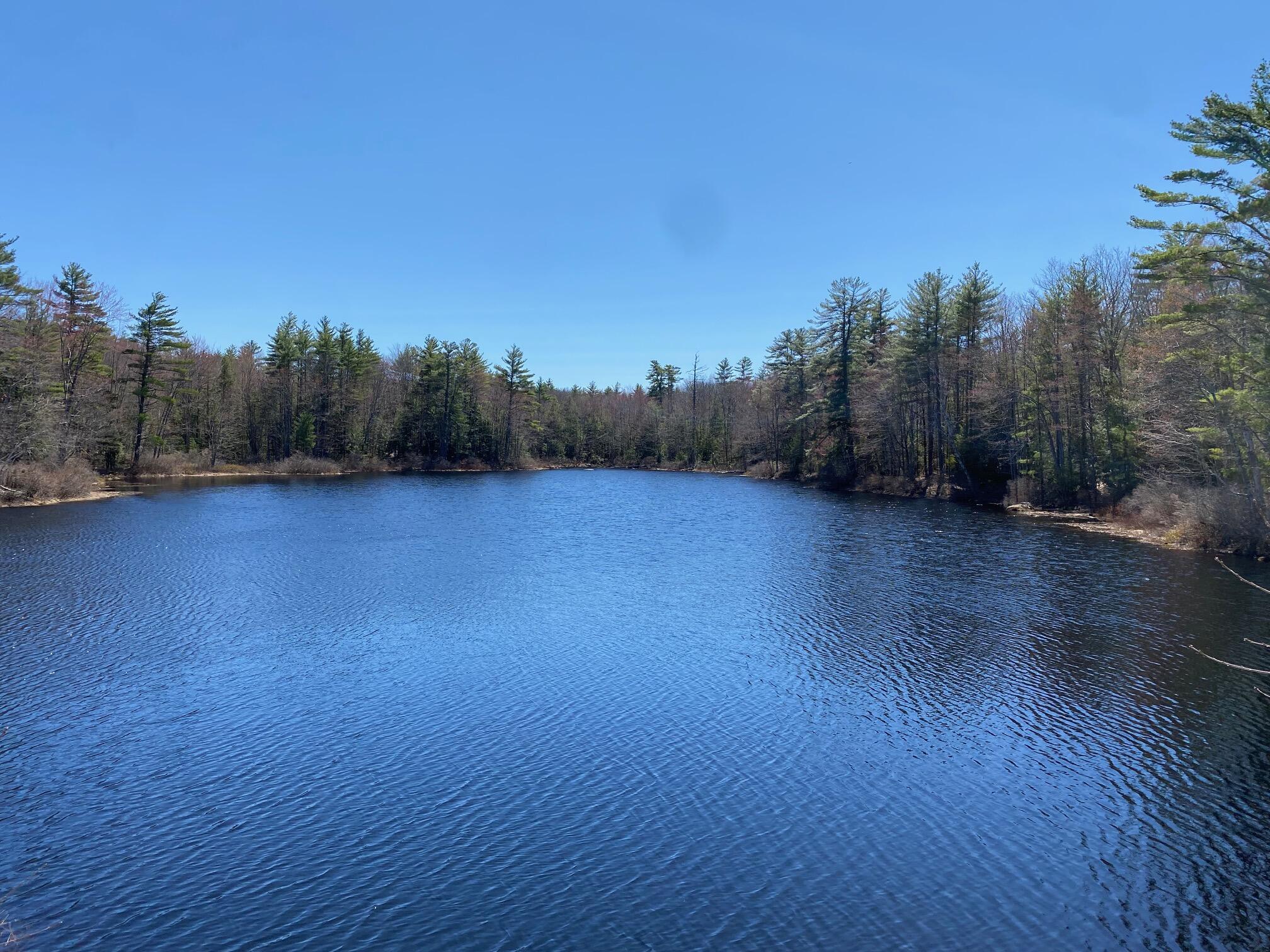 270 Richville Road Standish, ME 04084 - Photo 6 of 49 IMG_7299
