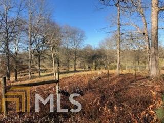 0 B Hunters Run Demorest, GA 30535 - Photo 1 of 1 Gallery Image 1