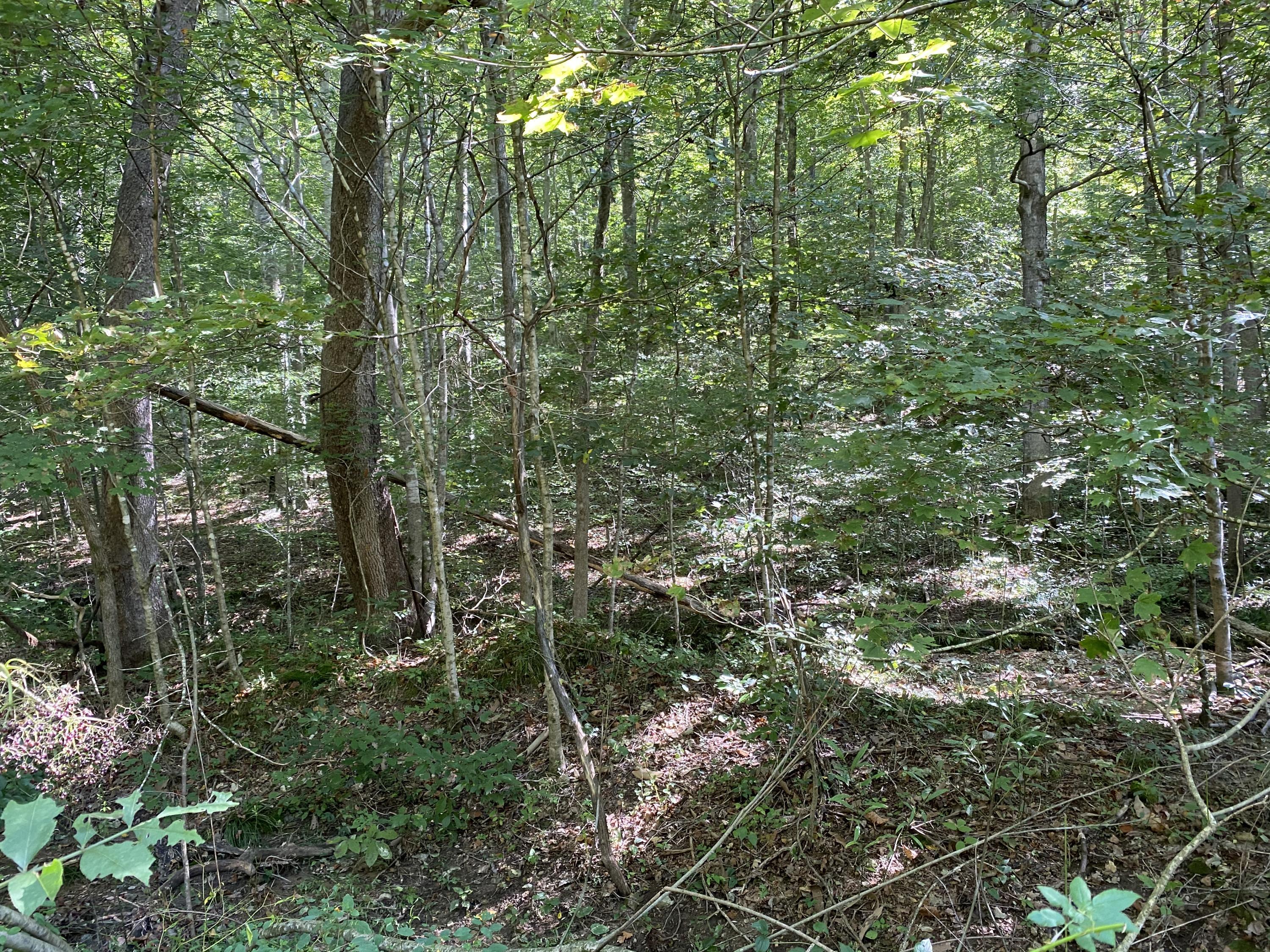 2734 Woods Creek Road Liberty, KY 42539 - Photo 6 of 8 Photo Sep 21, 10 39 20 AM